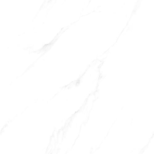 SD8T12A_02