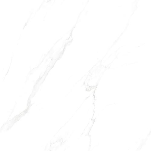 SD8T12A_03