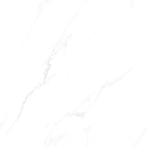 SD8T12A_04