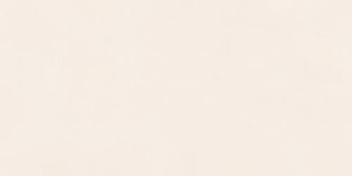 SDS48532A