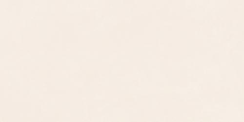 SDS48532A
