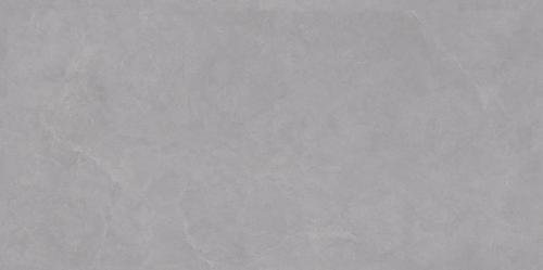 SDS48535A