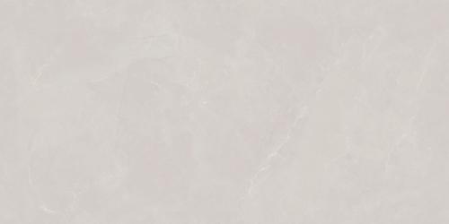 SDS48536A
