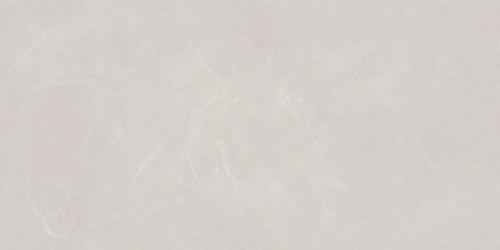 SDS48536A