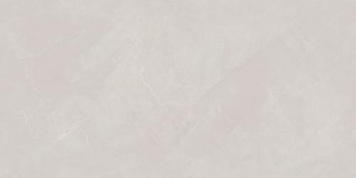 SDS48536A