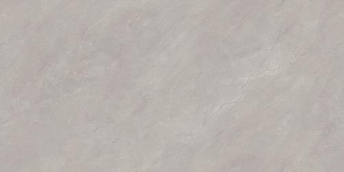SDS48537A