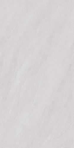 SDJ918807A