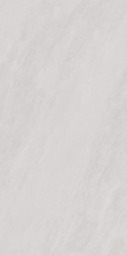 SDJ918807A