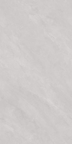 SDJ918808A