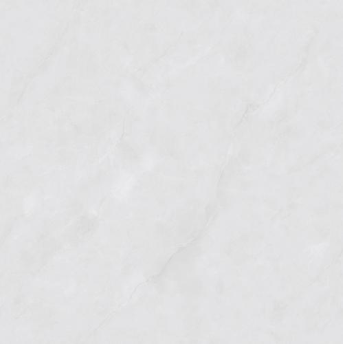 SDL881C05A斯卡曼