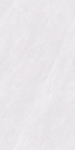 SDL1281C10A雀羽石韵