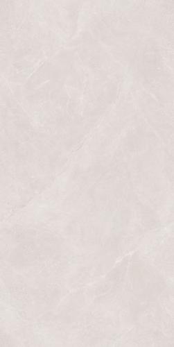 SDL1881C03A裴利昂