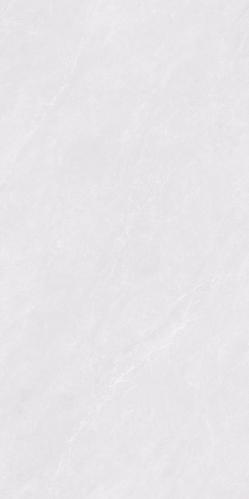 SDL841T10A雀羽石韵