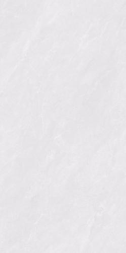 SDL841T10A雀羽石韵