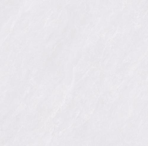 SDL881C10A雀羽石韵