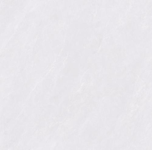 SDL881C10A雀羽石韵