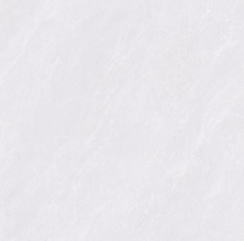 SDL881C10A雀羽石韵