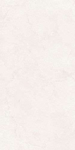 SDJ1581Y31A斯里兰卡